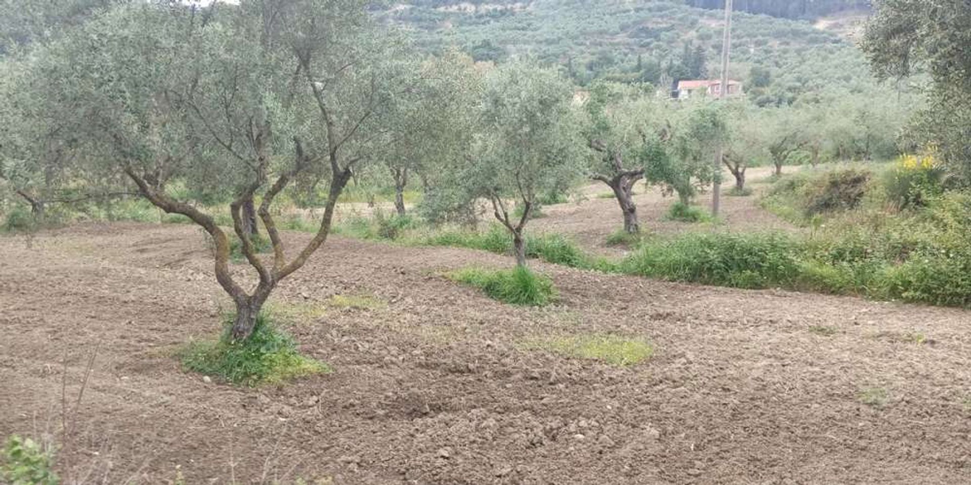 Земля в Zakynthos, Zakinthos 10086598