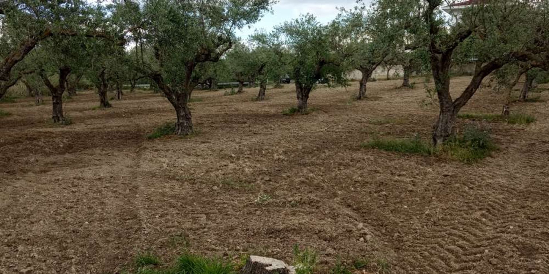 Земля в Zakynthos, Zakinthos 10086598