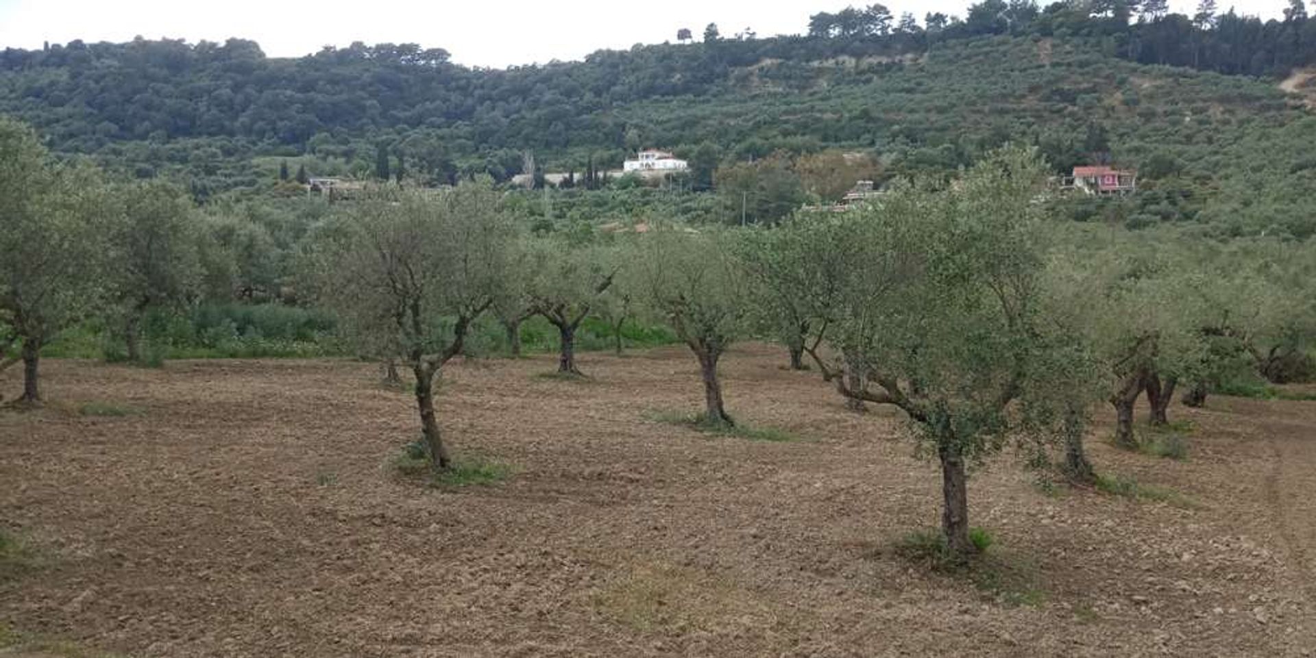 Земля в Zakynthos, Zakinthos 10086598