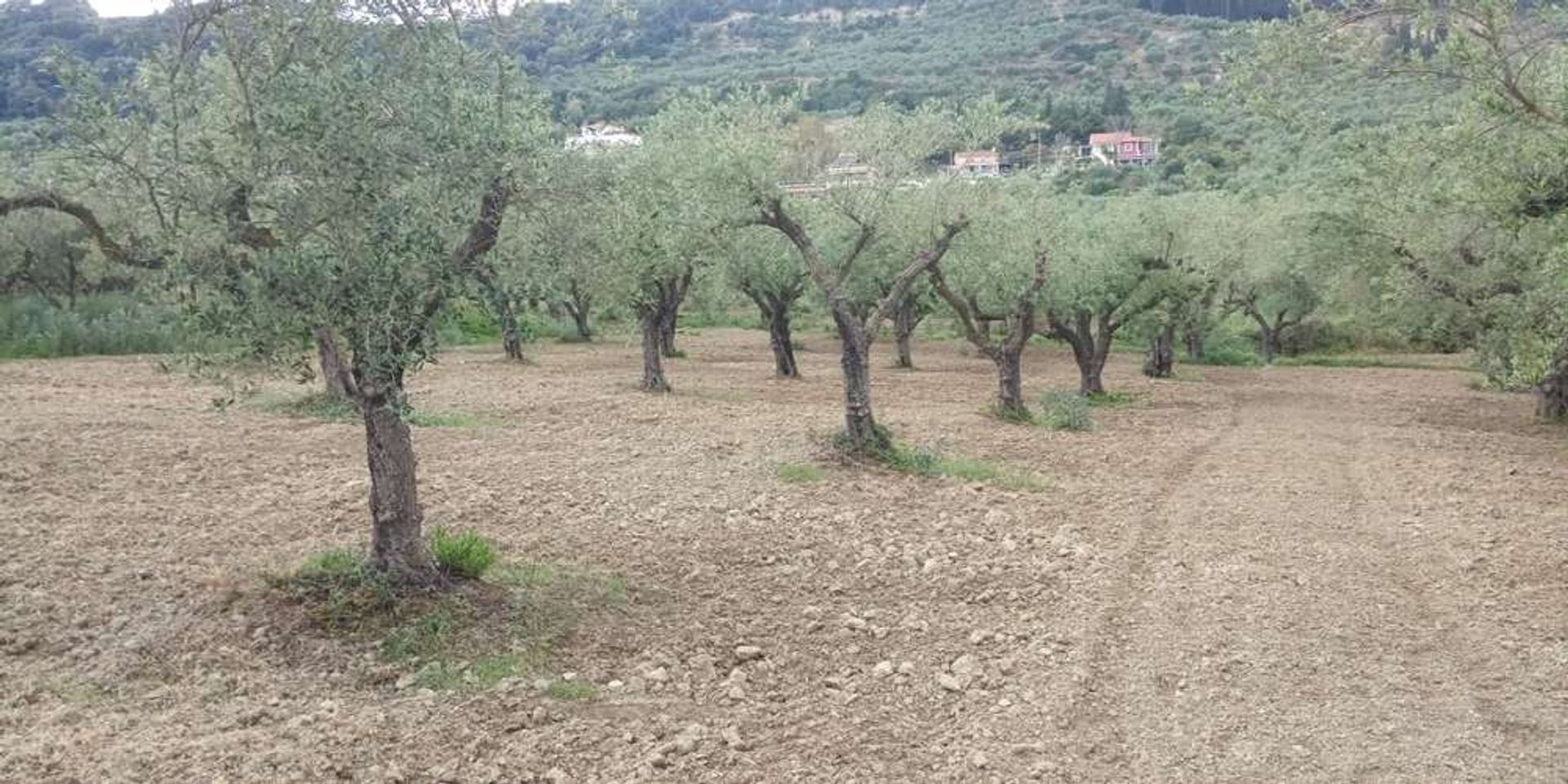 Земля в Zakynthos, Zakinthos 10086598