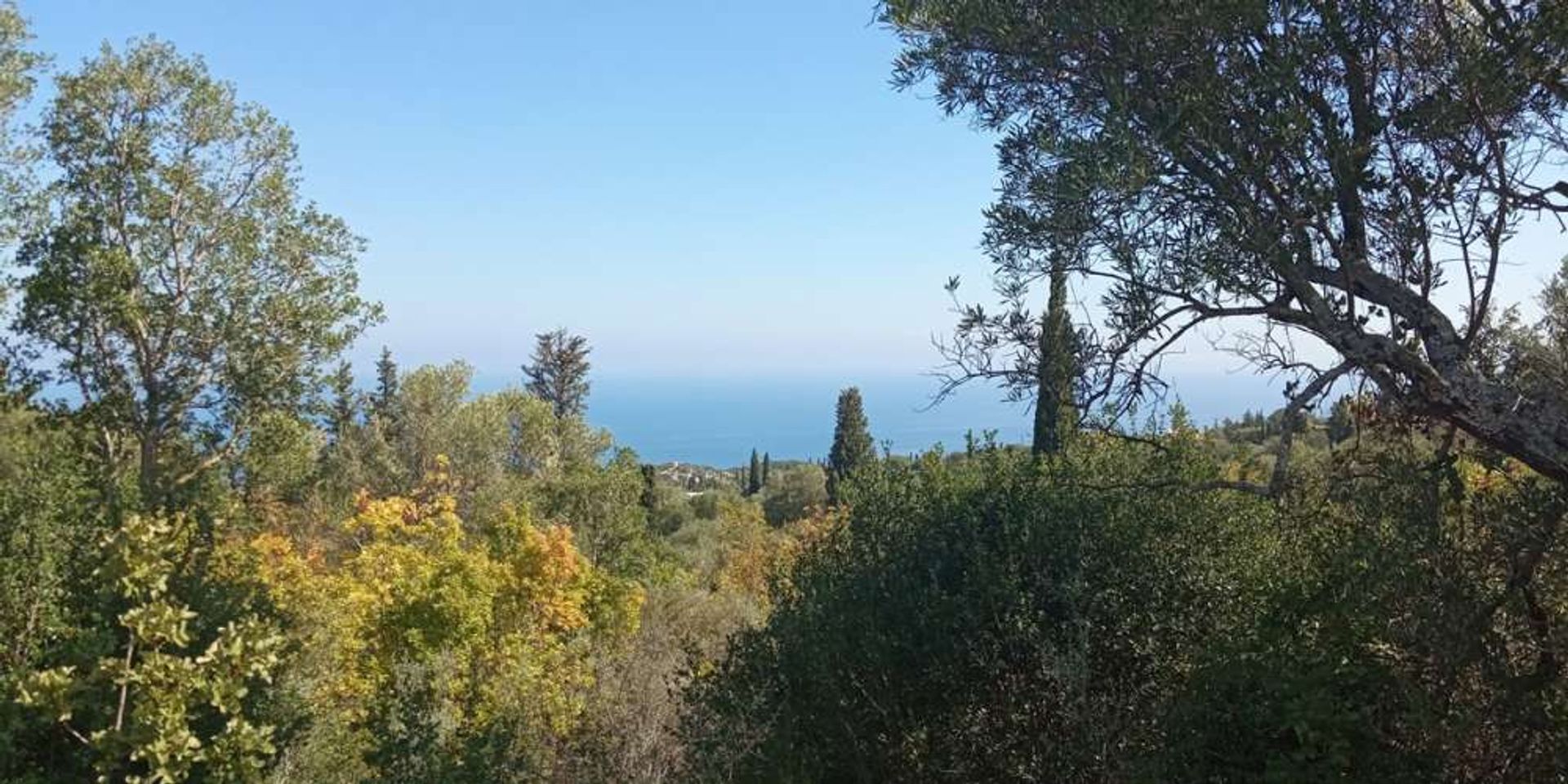 Land in Zakynthos, Zakinthos 10086601