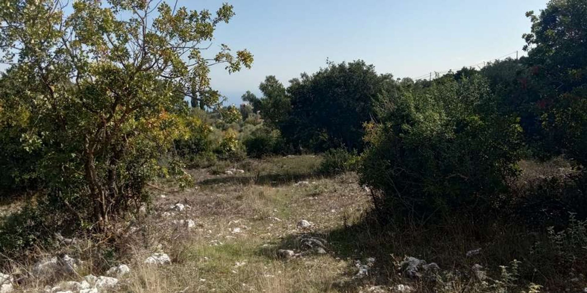 Land in Zakynthos, Zakinthos 10086601