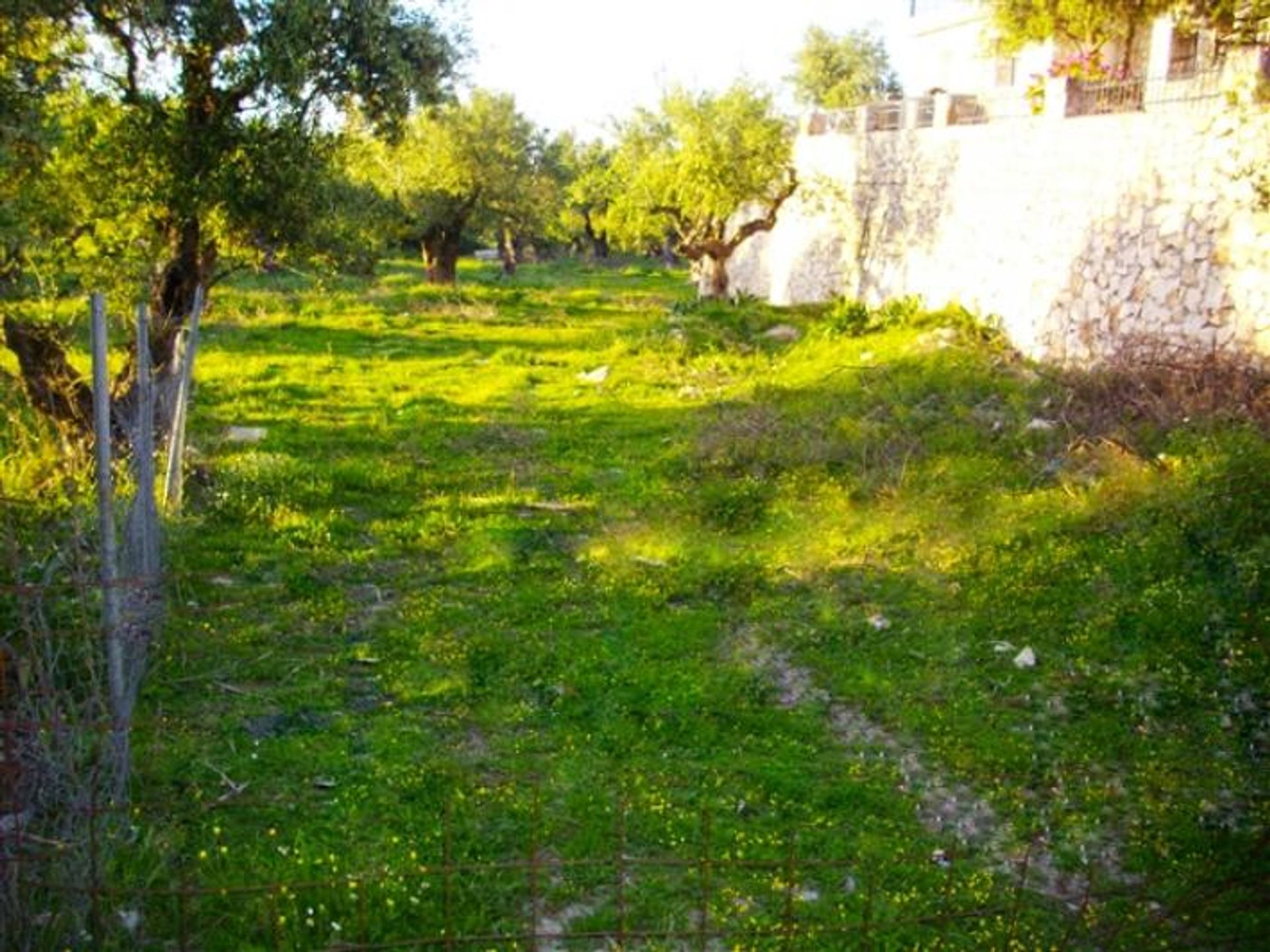 Maa sisään Zakynthos, Zakinthos 10086604