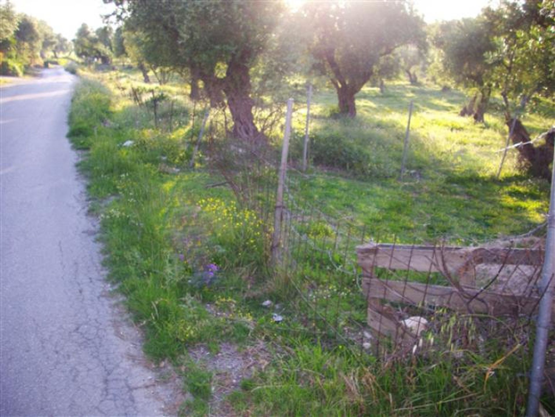 Земельные участки в Zakynthos, Zakinthos 10086604