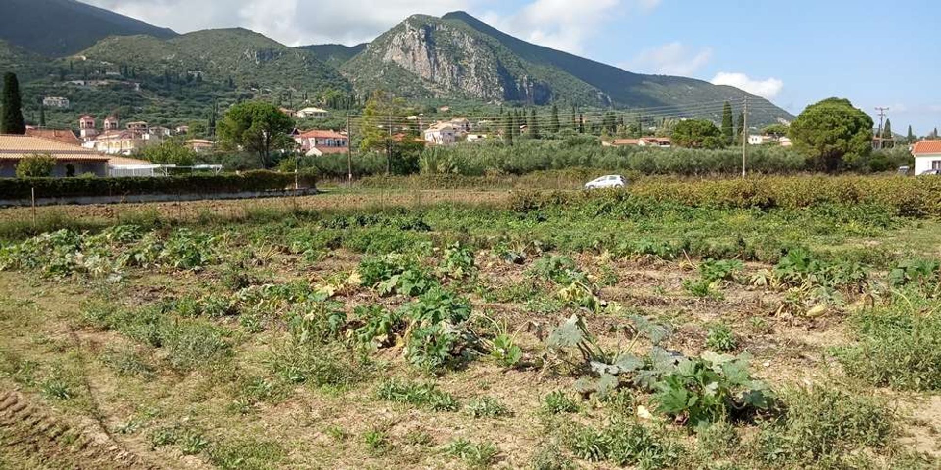 Land in Zakynthos, Zakinthos 10086605