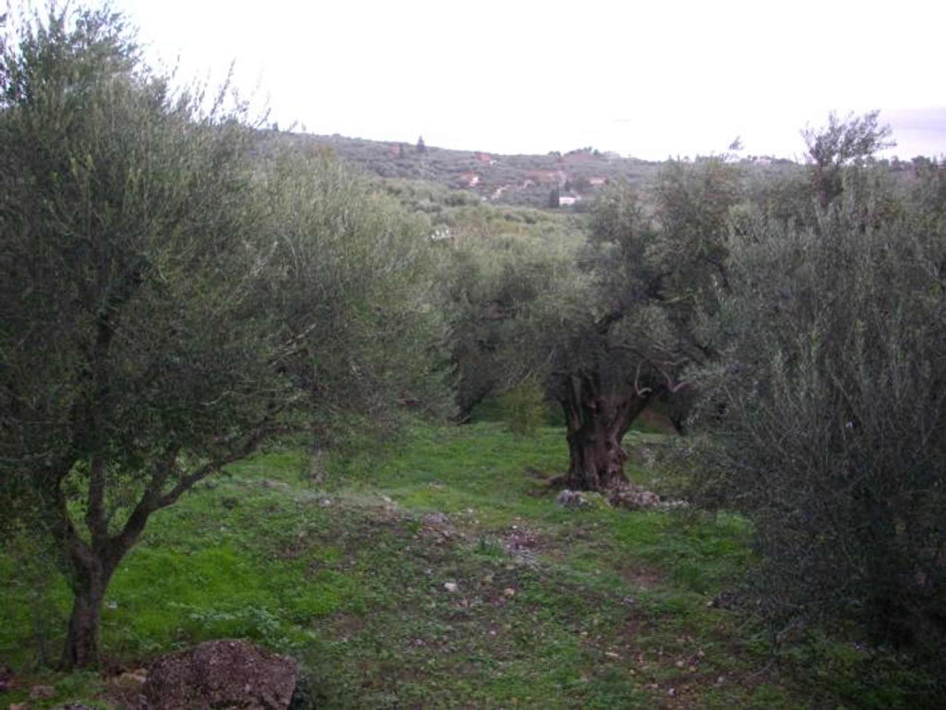 Land in Katastari, Ionia Nisia 10086609