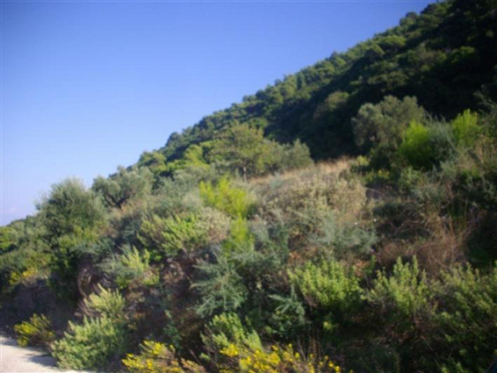 Land in Bochali, Ionia Nisia 10086618