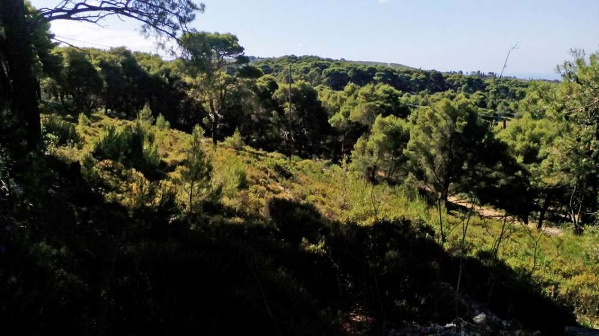 Land in Zakynthos, Zakinthos 10086620