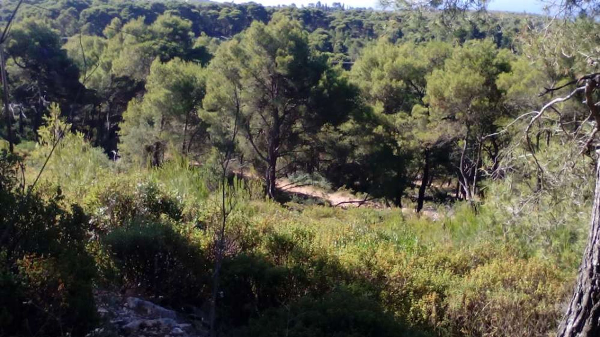 Land in Zakynthos, Zakinthos 10086620