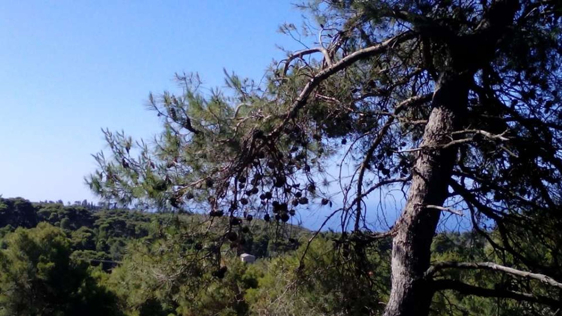 Land in Zakynthos, Zakinthos 10086620