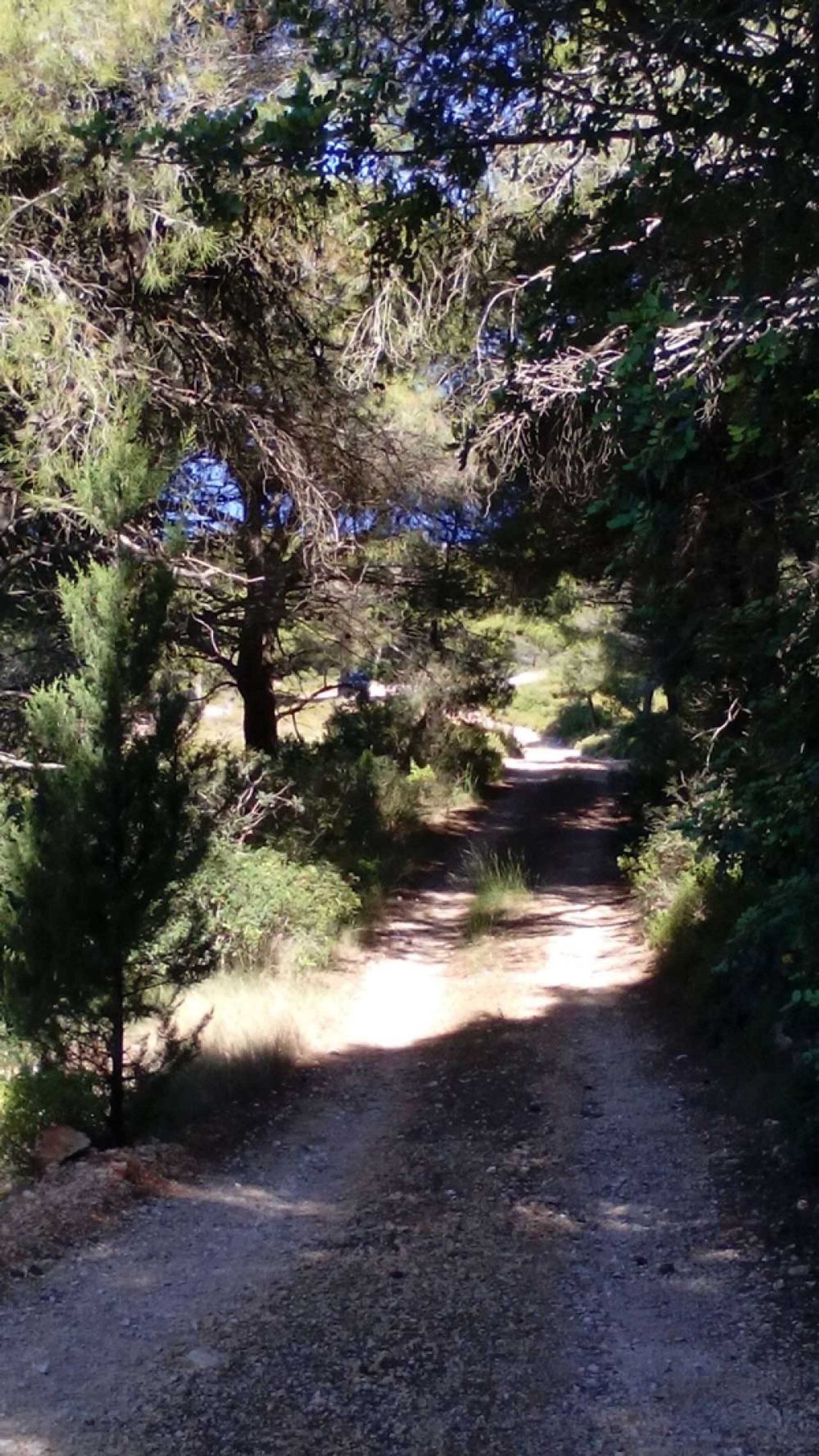 Land in Zakynthos, Zakinthos 10086620