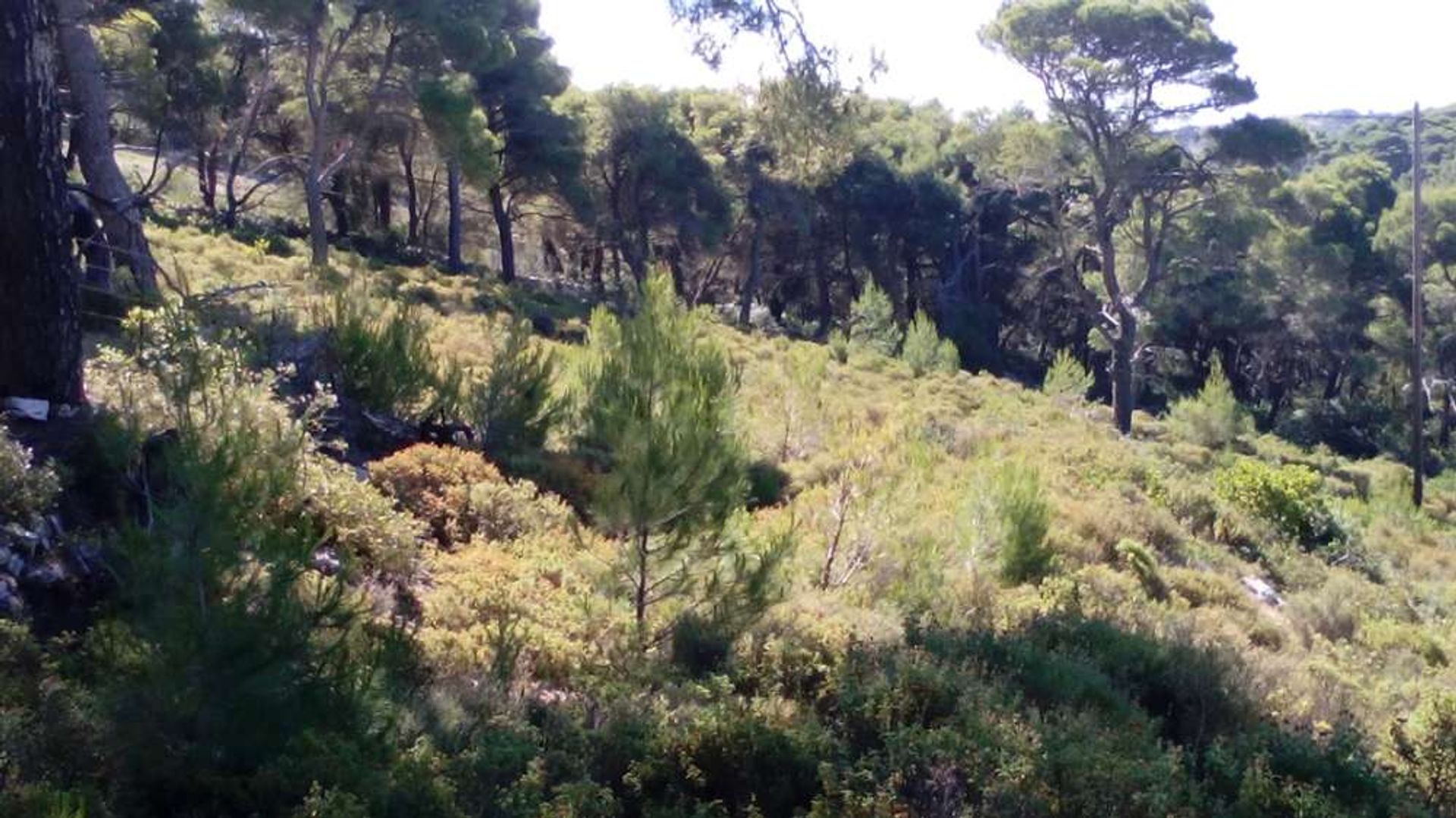 Land in Zakynthos, Zakinthos 10086620