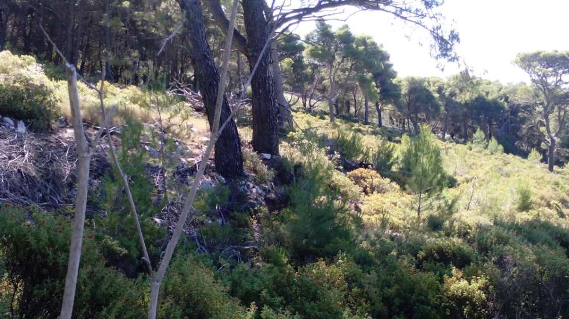 Land in Zakynthos, Zakinthos 10086620