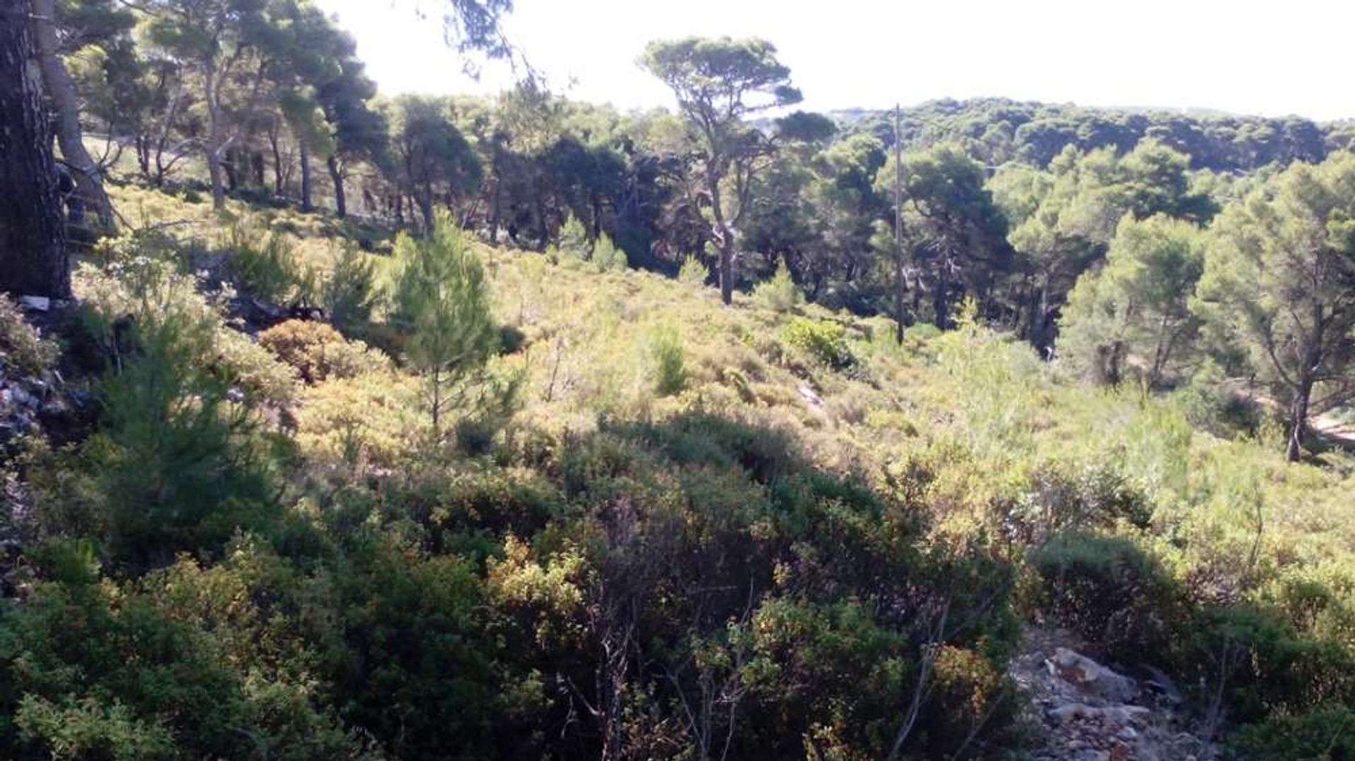 Land in Zakynthos, Zakinthos 10086620