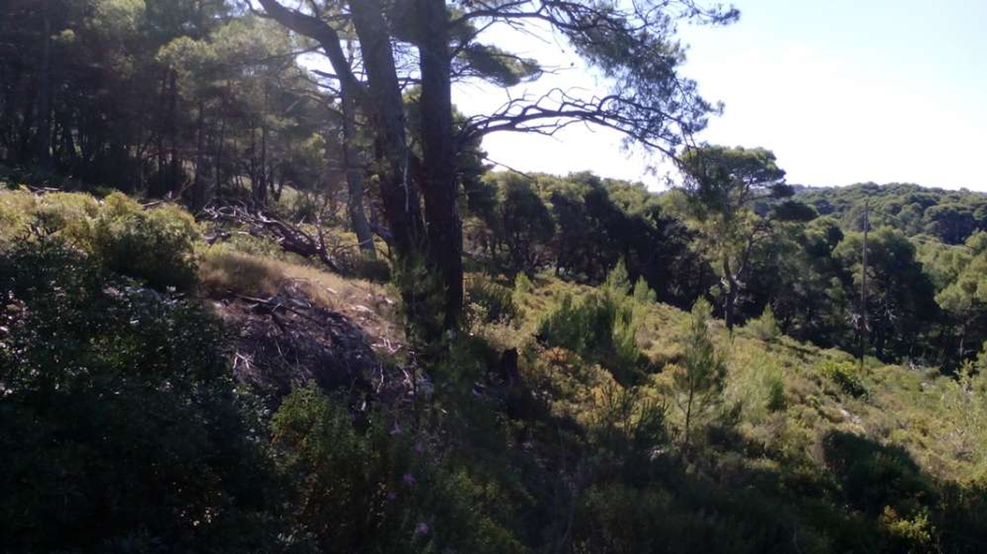 Land in Zakynthos, Zakinthos 10086620