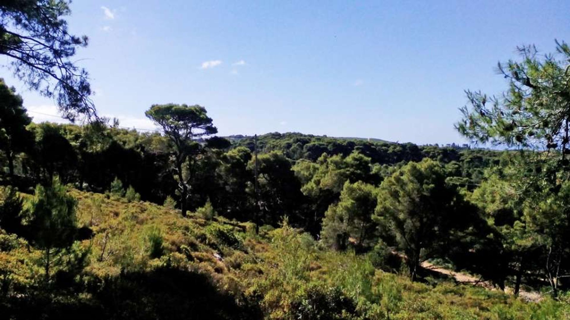 Land in Zakynthos, Zakinthos 10086620