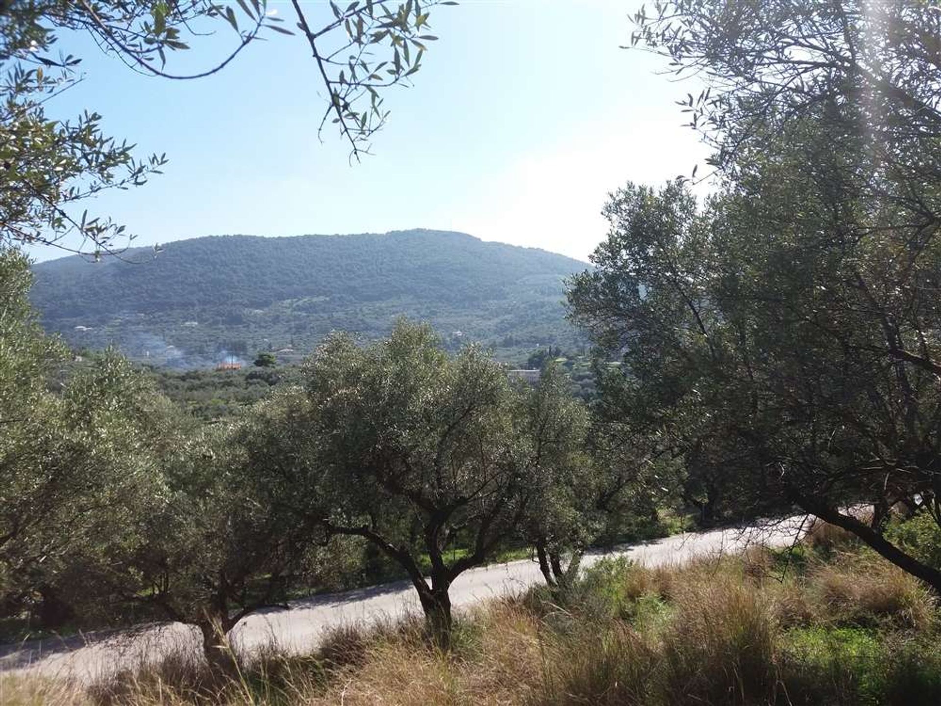 Terre dans Zakynthos, Zakinthos 10086621