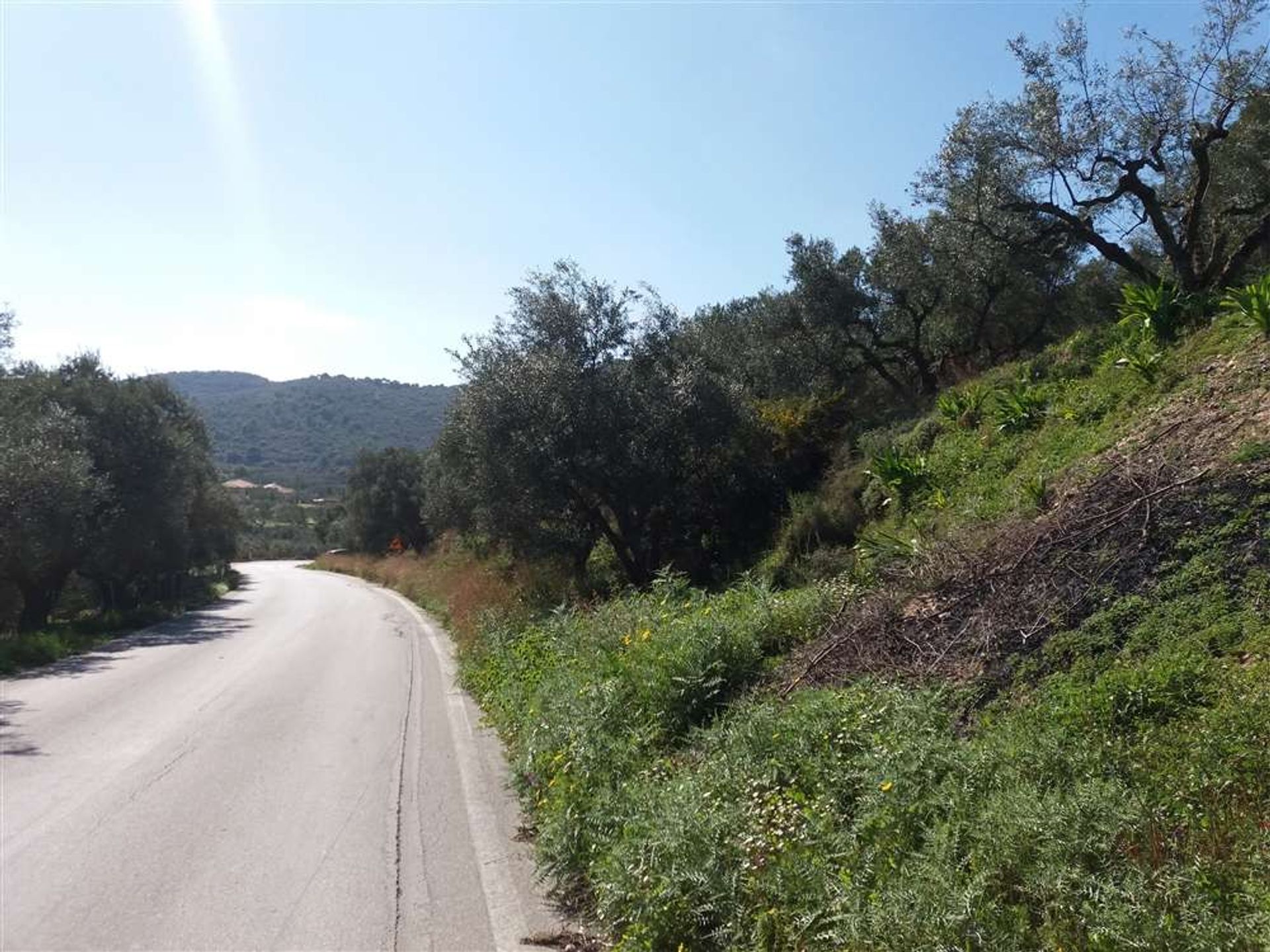 Terre dans Zakynthos, Zakinthos 10086621