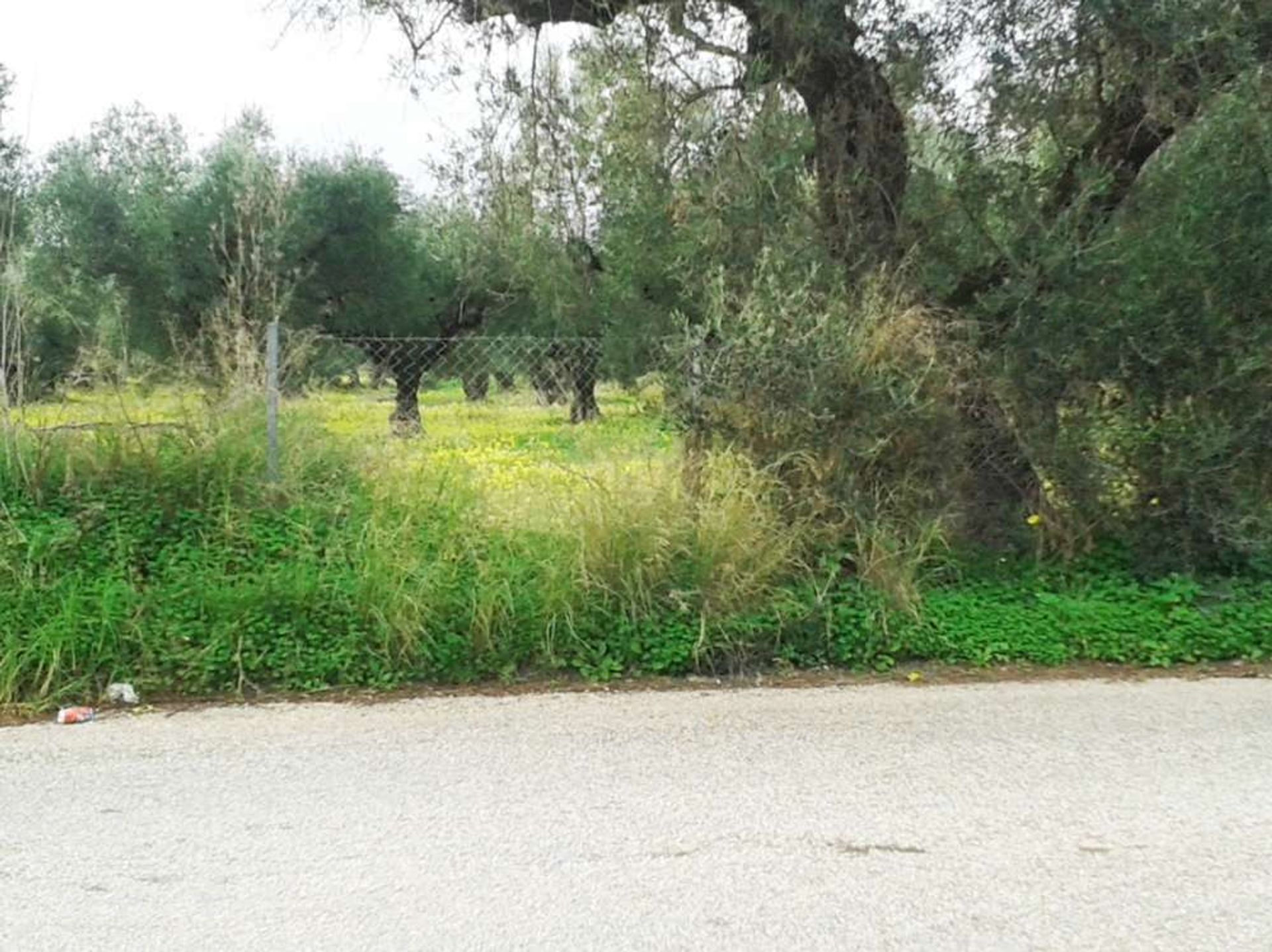 Tanah dalam Zakynthos, Zakinthos 10086622