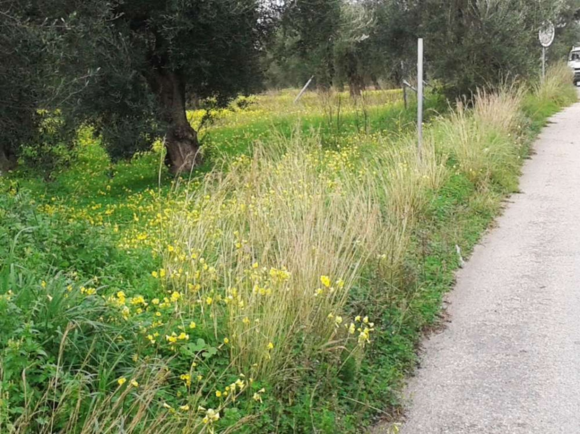 Земельные участки в Zakynthos, Zakinthos 10086622