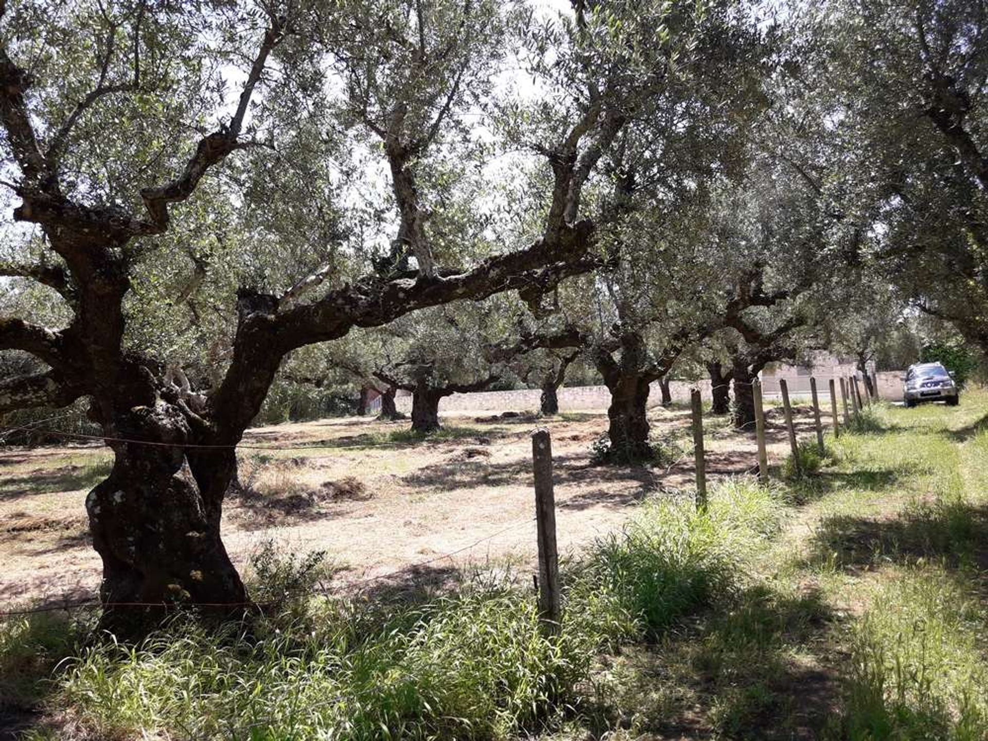 Земля в Zakynthos, Zakinthos 10086623