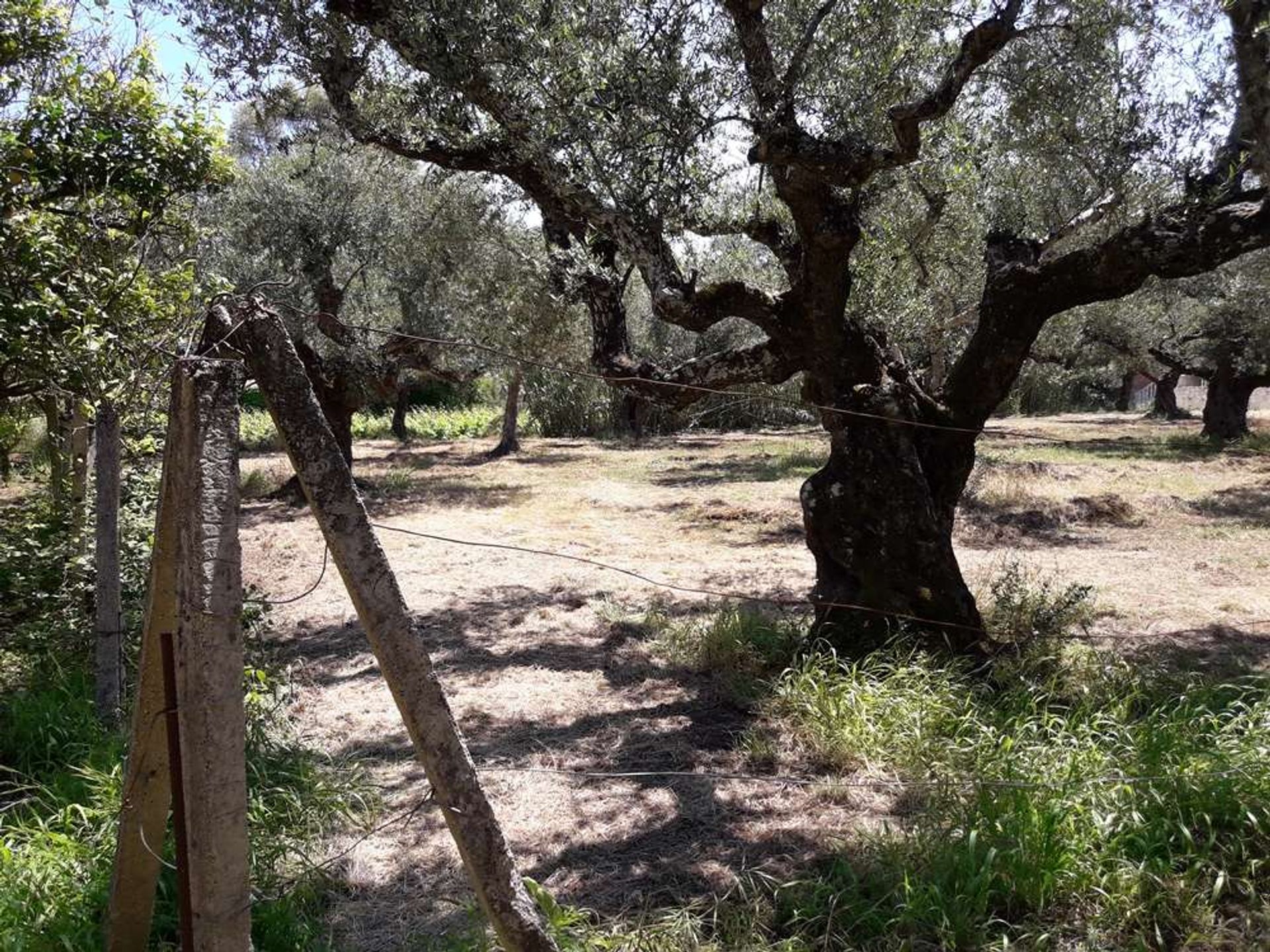 Земля в Zakynthos, Zakinthos 10086623