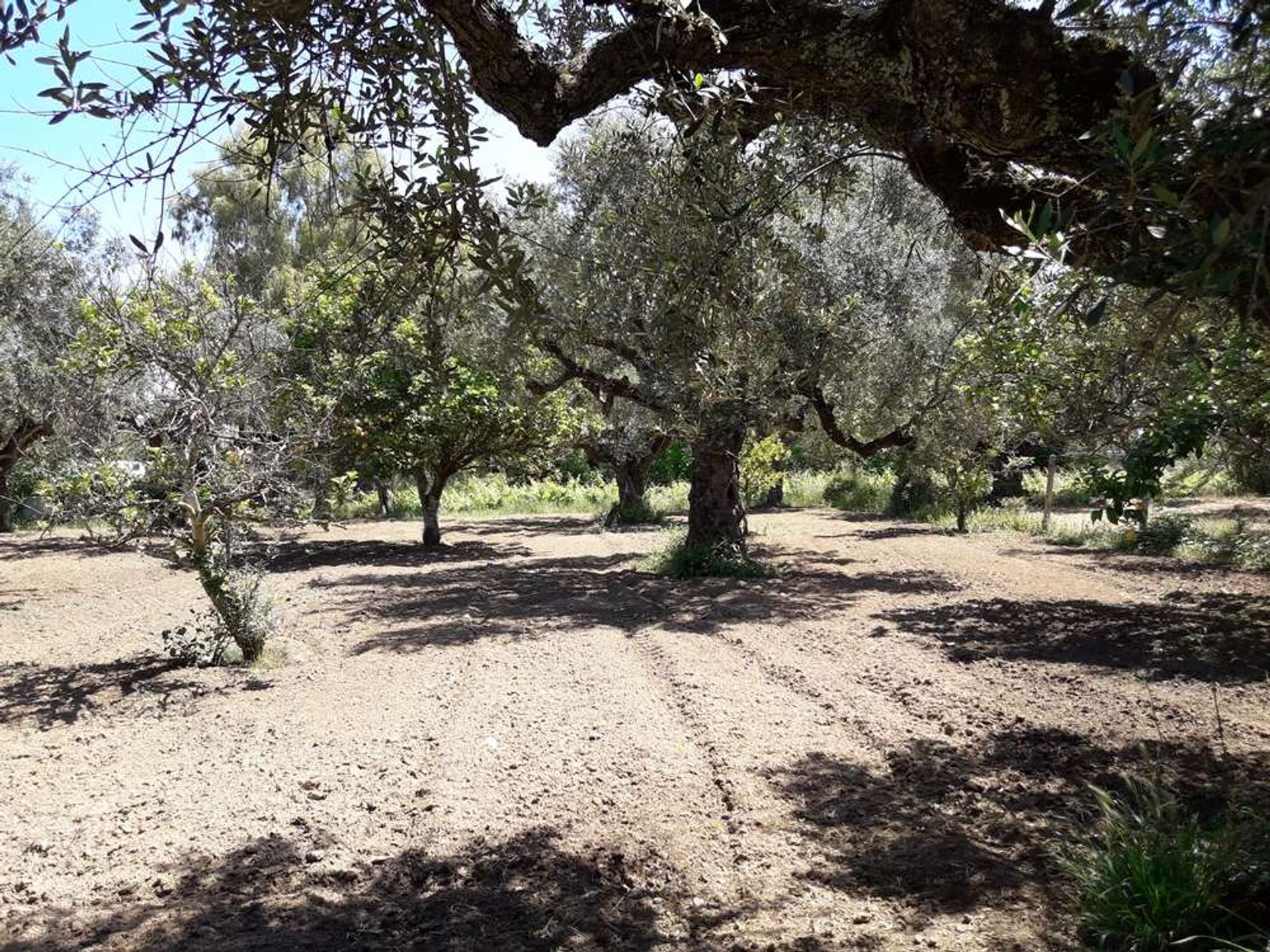 土地 在 Zakynthos, Zakinthos 10086623