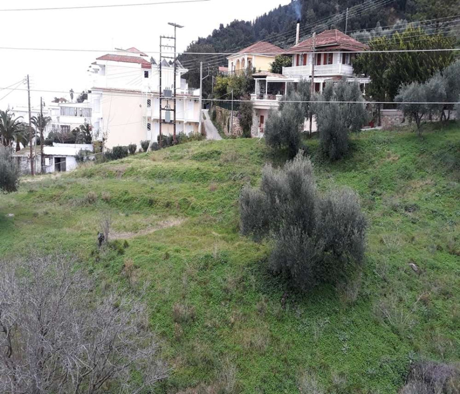 Land in Bochali, Ionië Nisia 10086625