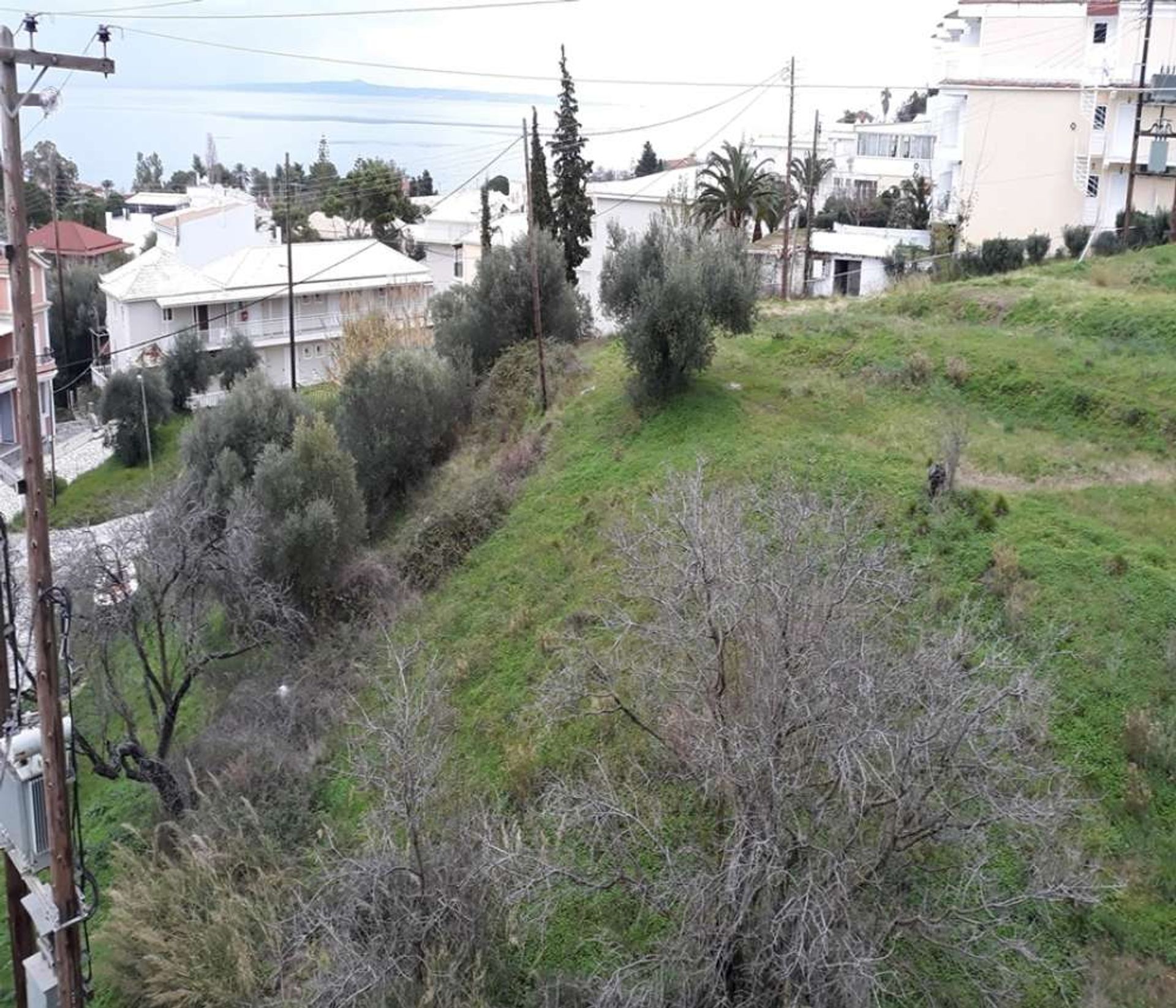 Γη σε Zakynthos, Zakinthos 10086625