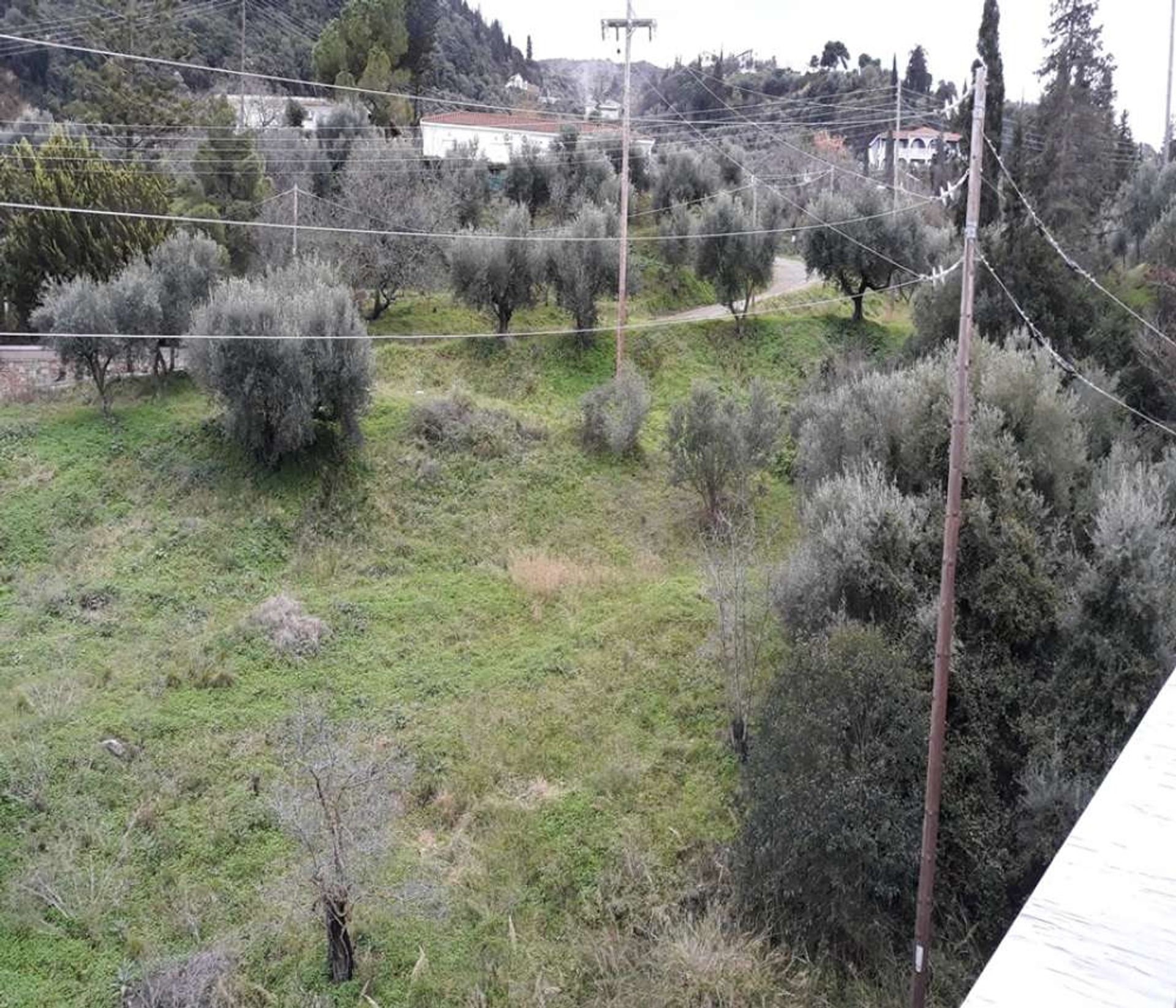 Land in Bochali, Ionië Nisia 10086625