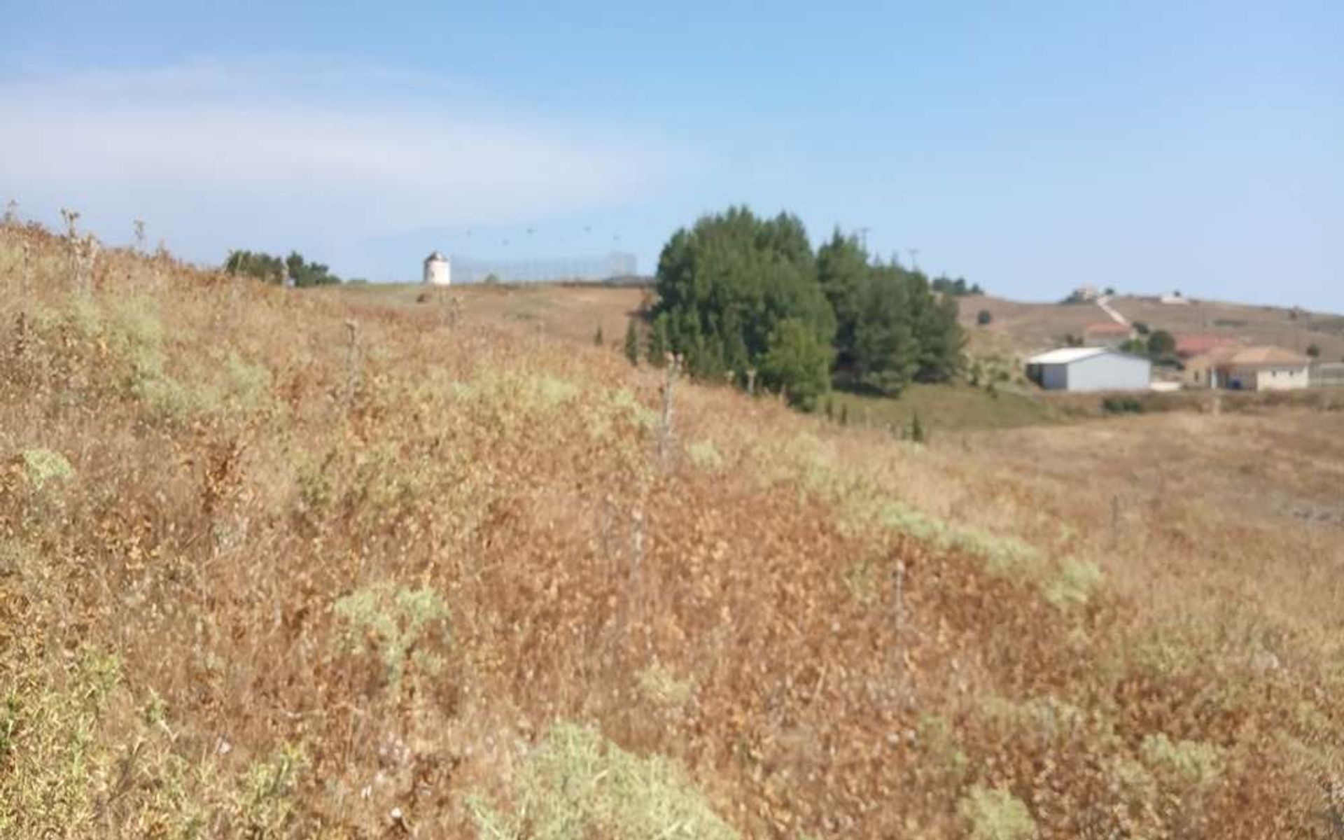 الأرض في Zakynthos, Zakinthos 10086626