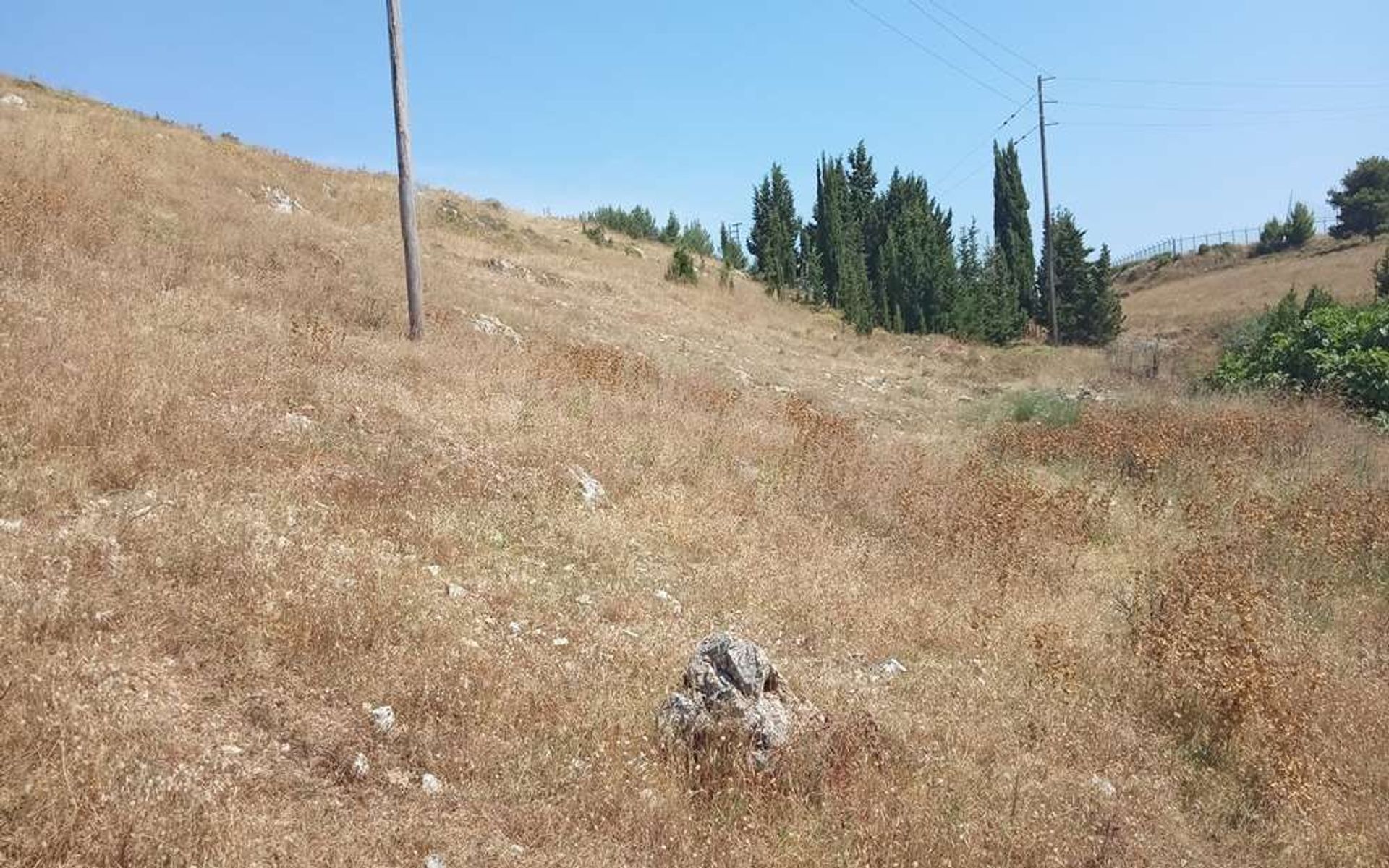 Land im Zakynthos, Zakinthos 10086626