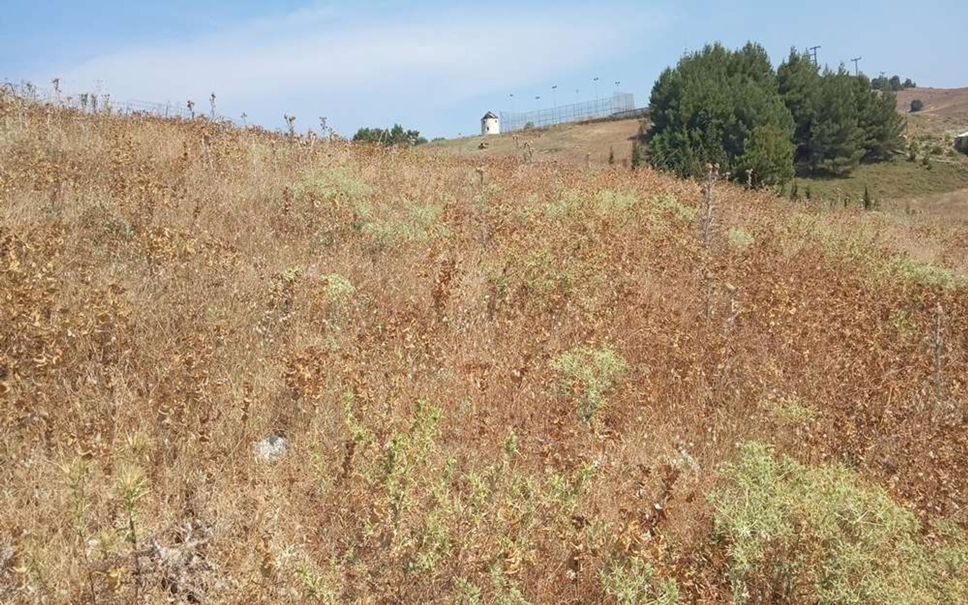 Tierra en Zakynthos, Zakinthos 10086626