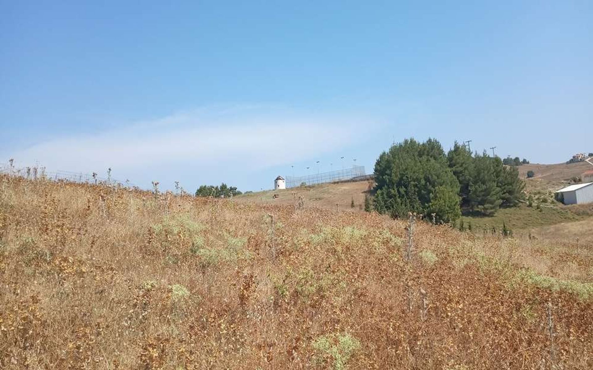 Land im Zakynthos, Zakinthos 10086626