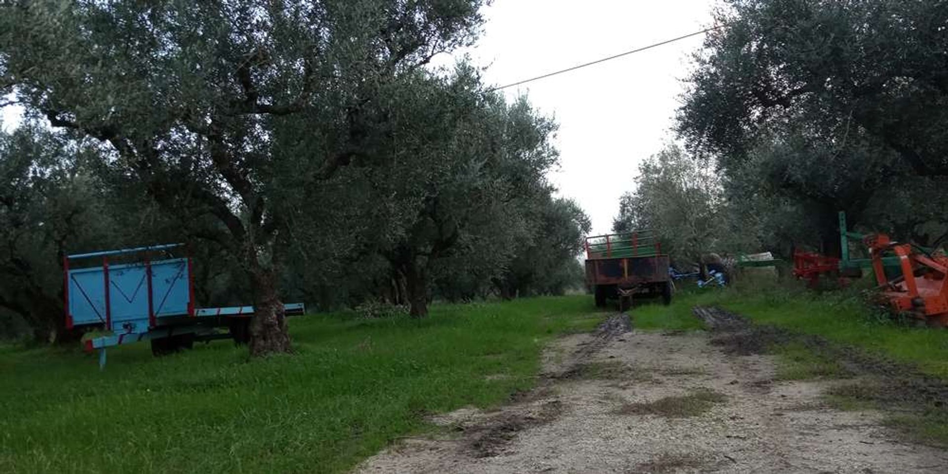 Tanah dalam Zakynthos, Zakinthos 10086628