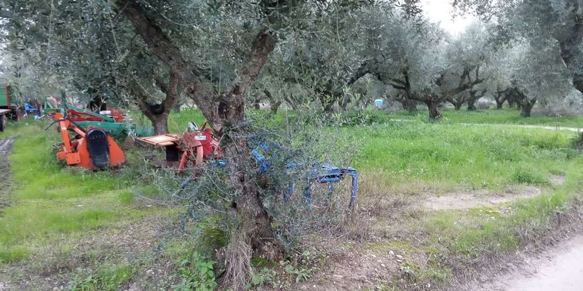 Land in Zakynthos, Zakinthos 10086628