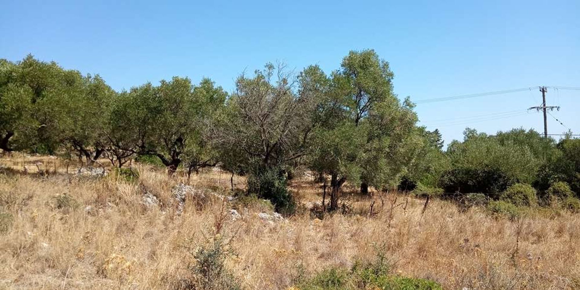 Land in Zakynthos, Zakinthos 10086629