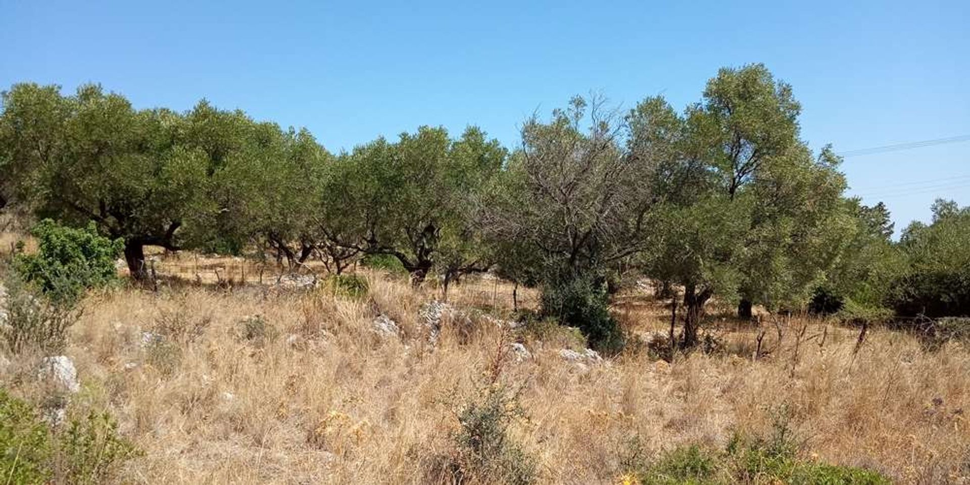 Land in Zakynthos, Zakinthos 10086629