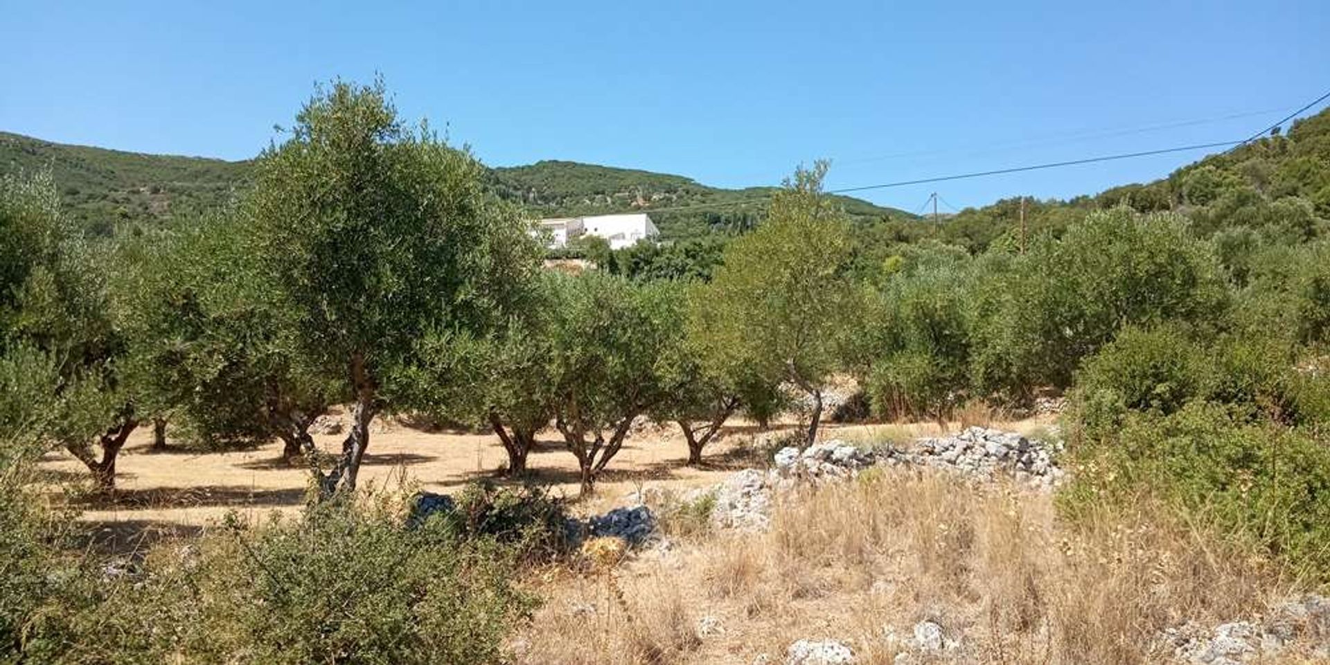 Land in Zakynthos, Zakinthos 10086629