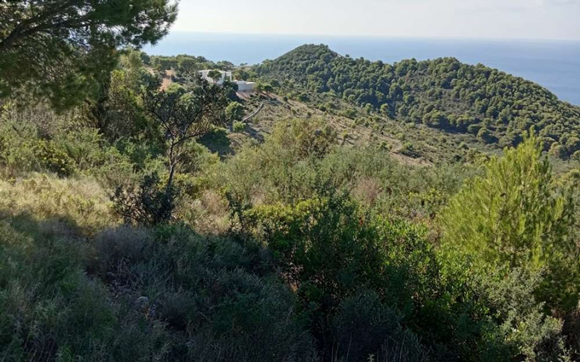 Tanah dalam Zakynthos, Zakinthos 10086633