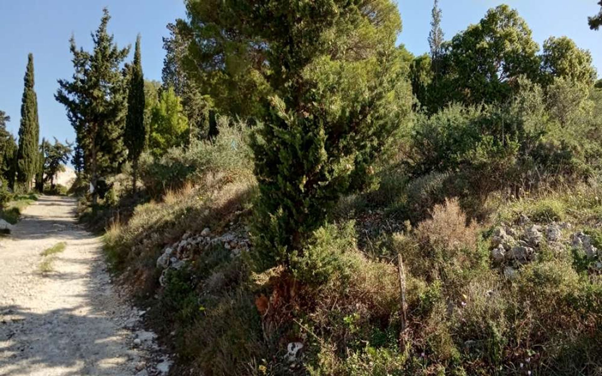 Γη σε Zakynthos, Zakinthos 10086633