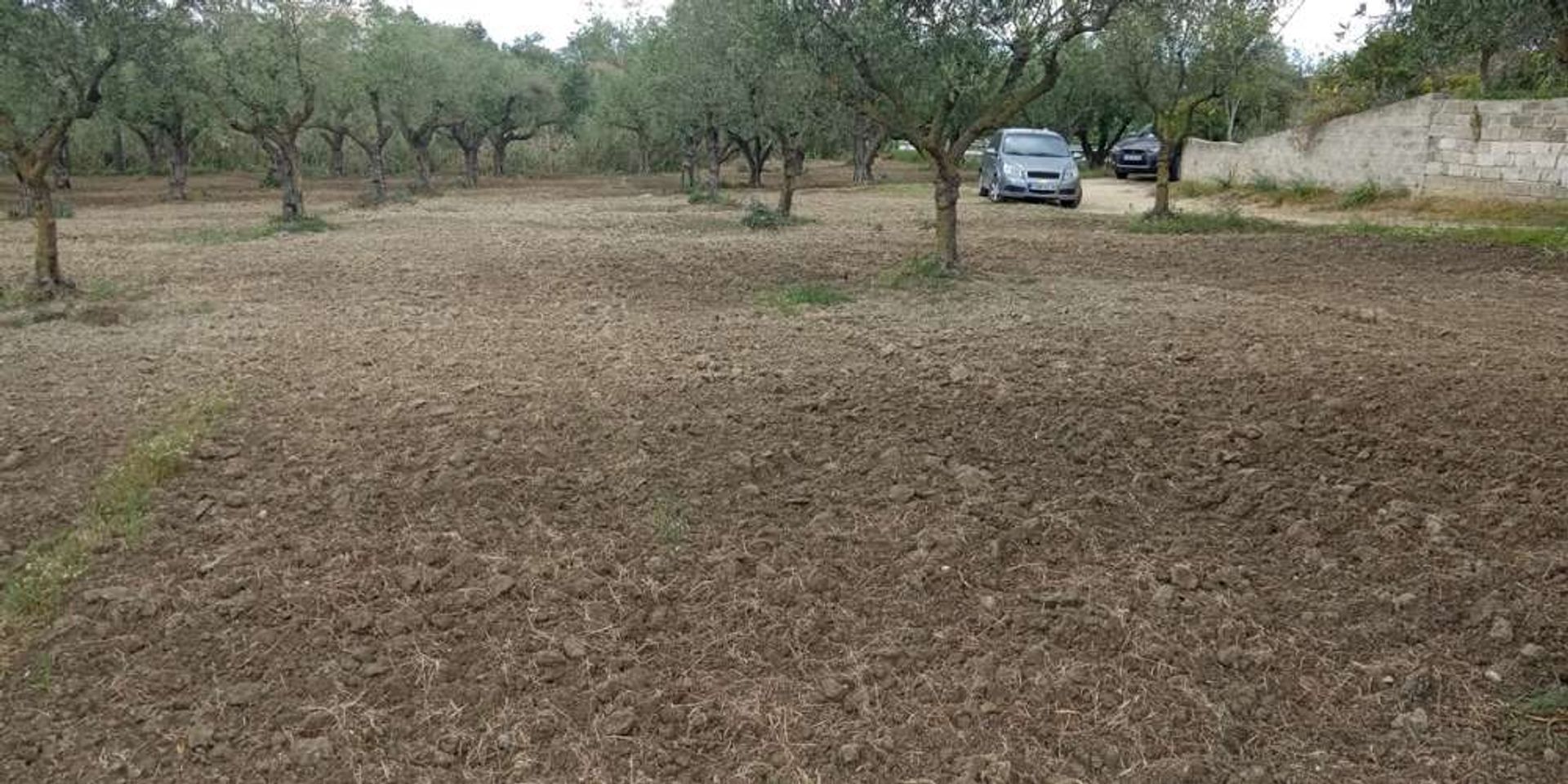 Tanah dalam Zakynthos, Zakinthos 10086635