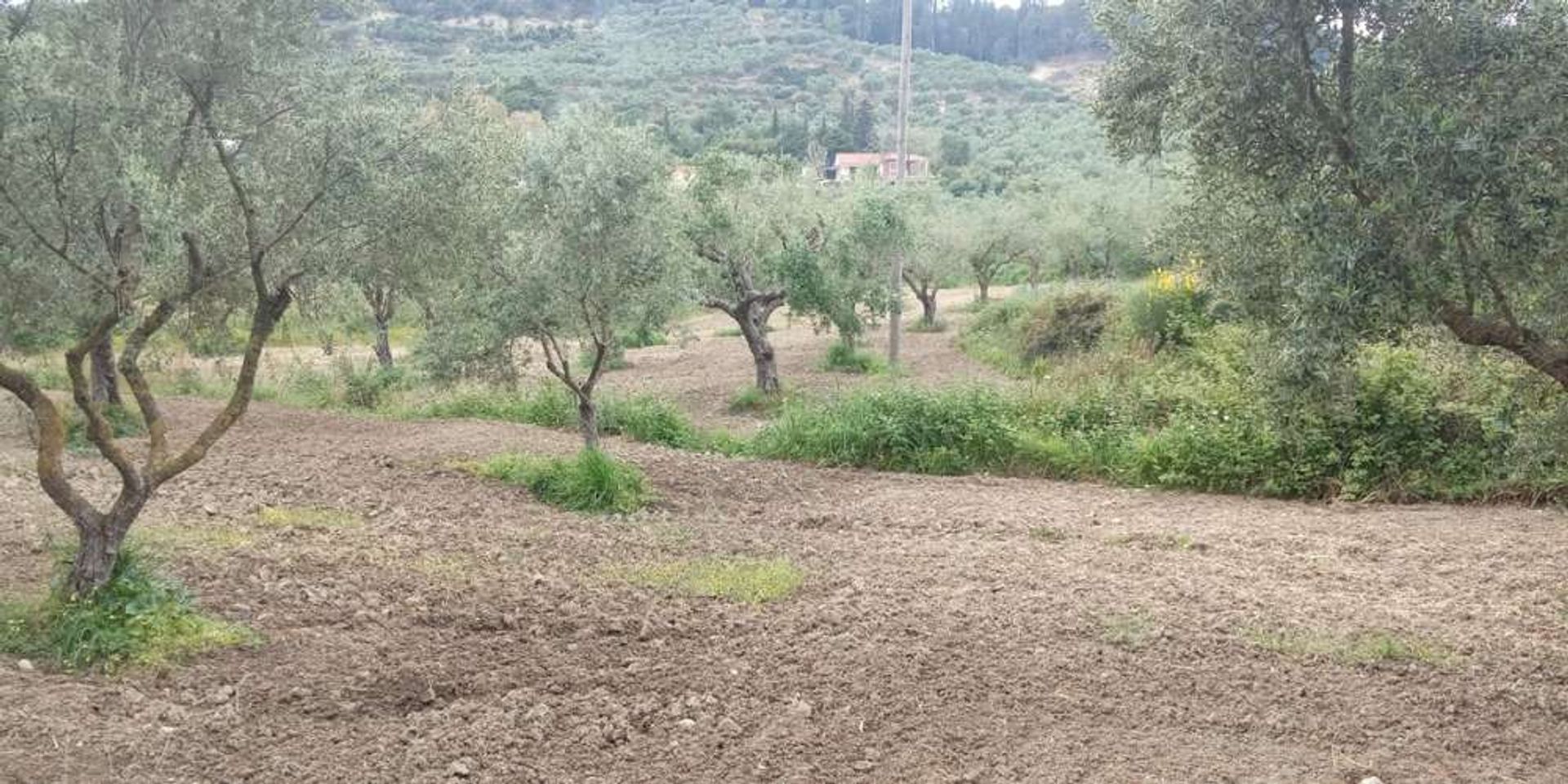 Tanah dalam Zakynthos, Zakinthos 10086635