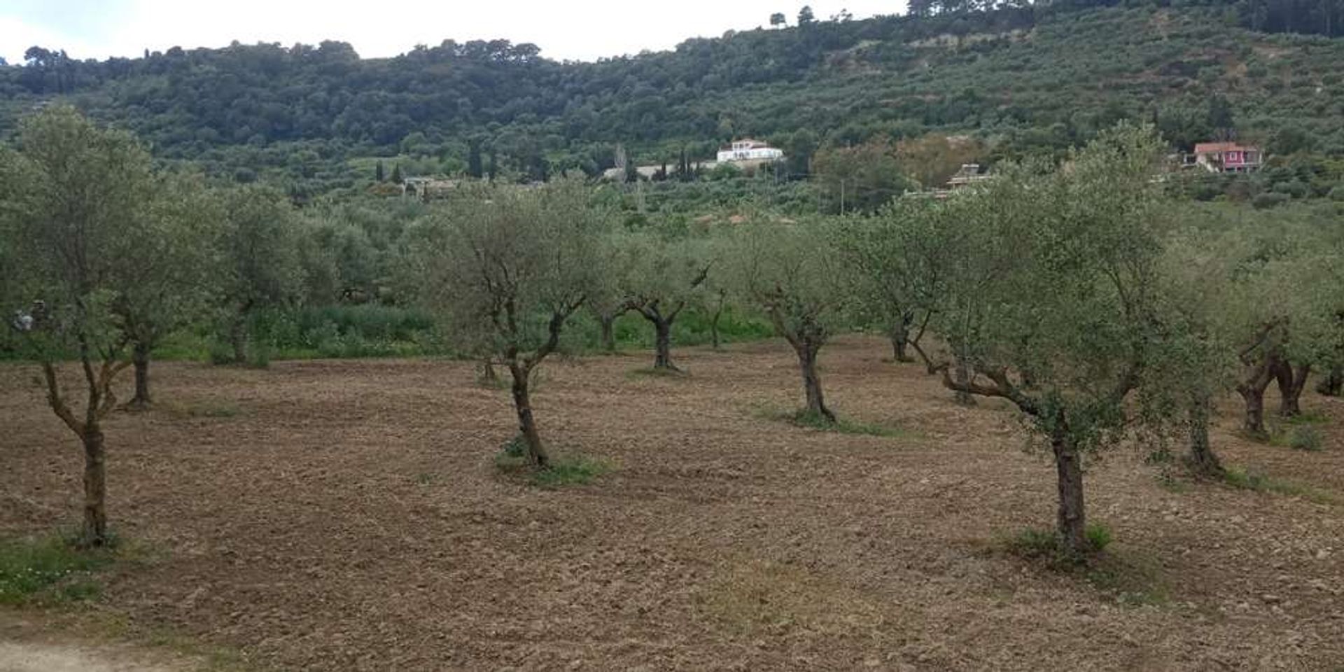 Земельные участки в Zakynthos, Zakinthos 10086635