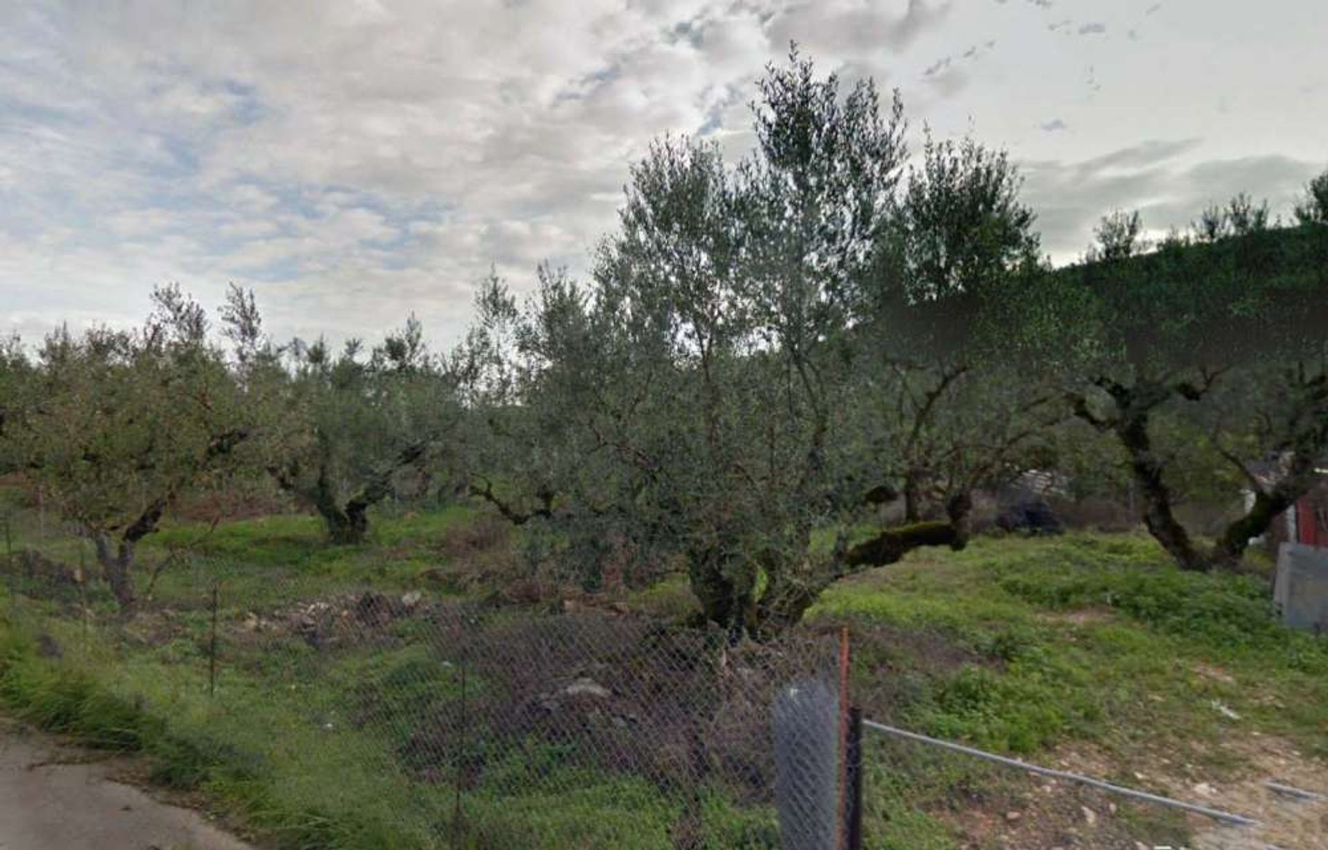 Land i Zakynthos, Zakinthos 10086636