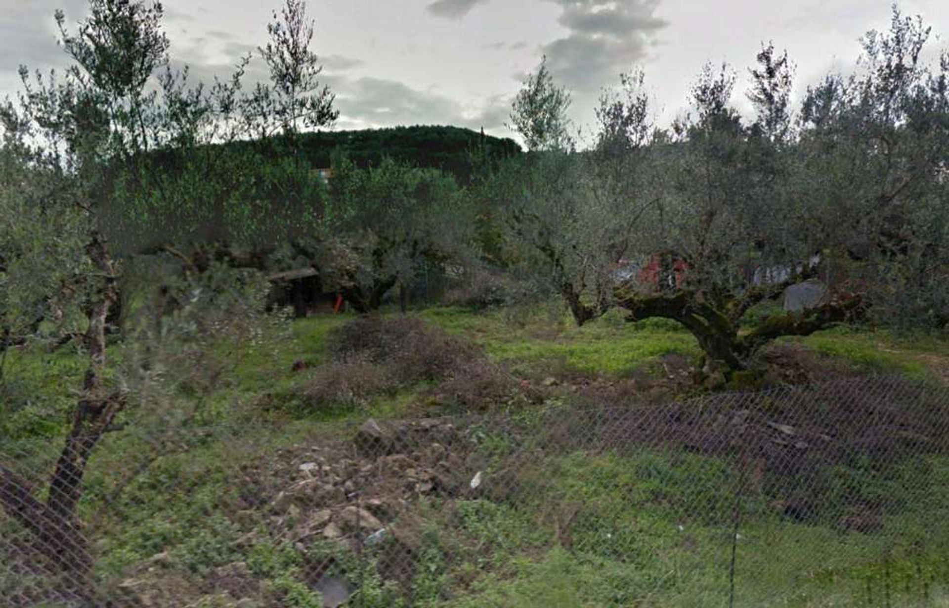 Land in Bochali, Ionia Nisia 10086636