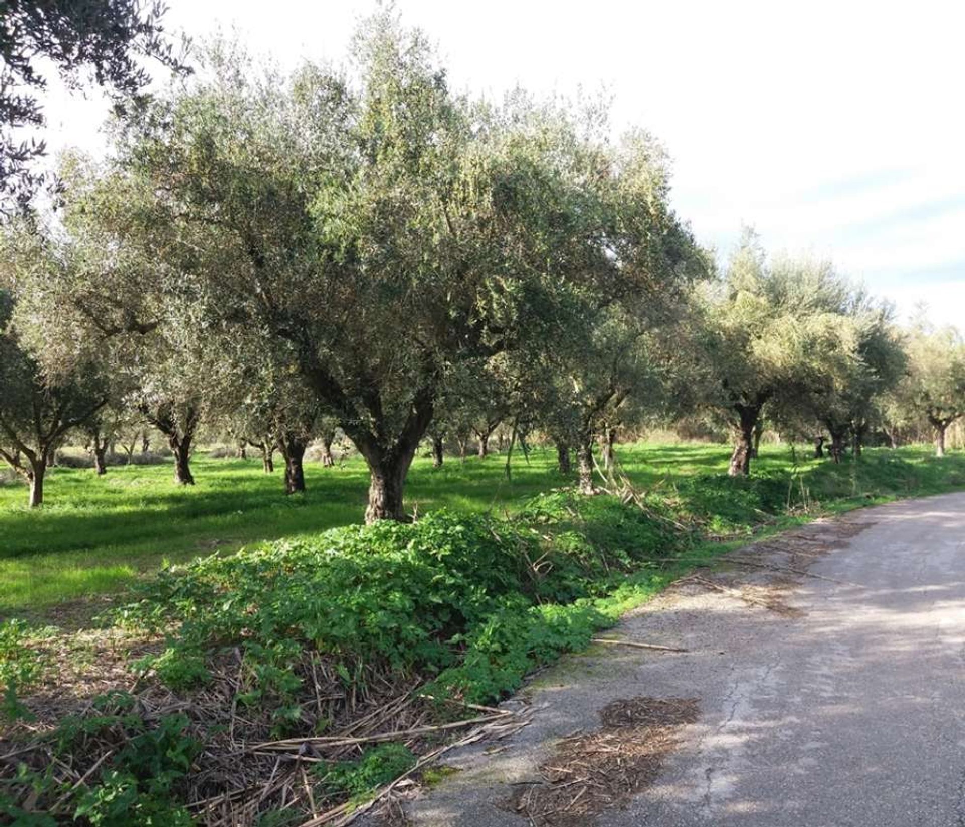 土地 在 Zakynthos, Zakinthos 10086637