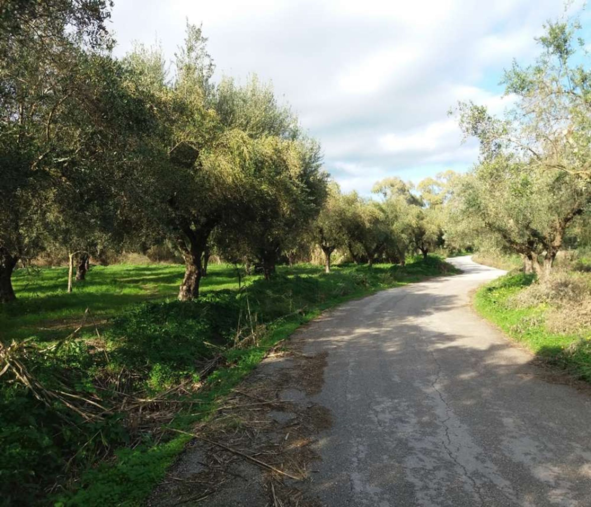 Maa sisään Zakynthos, Zakinthos 10086637