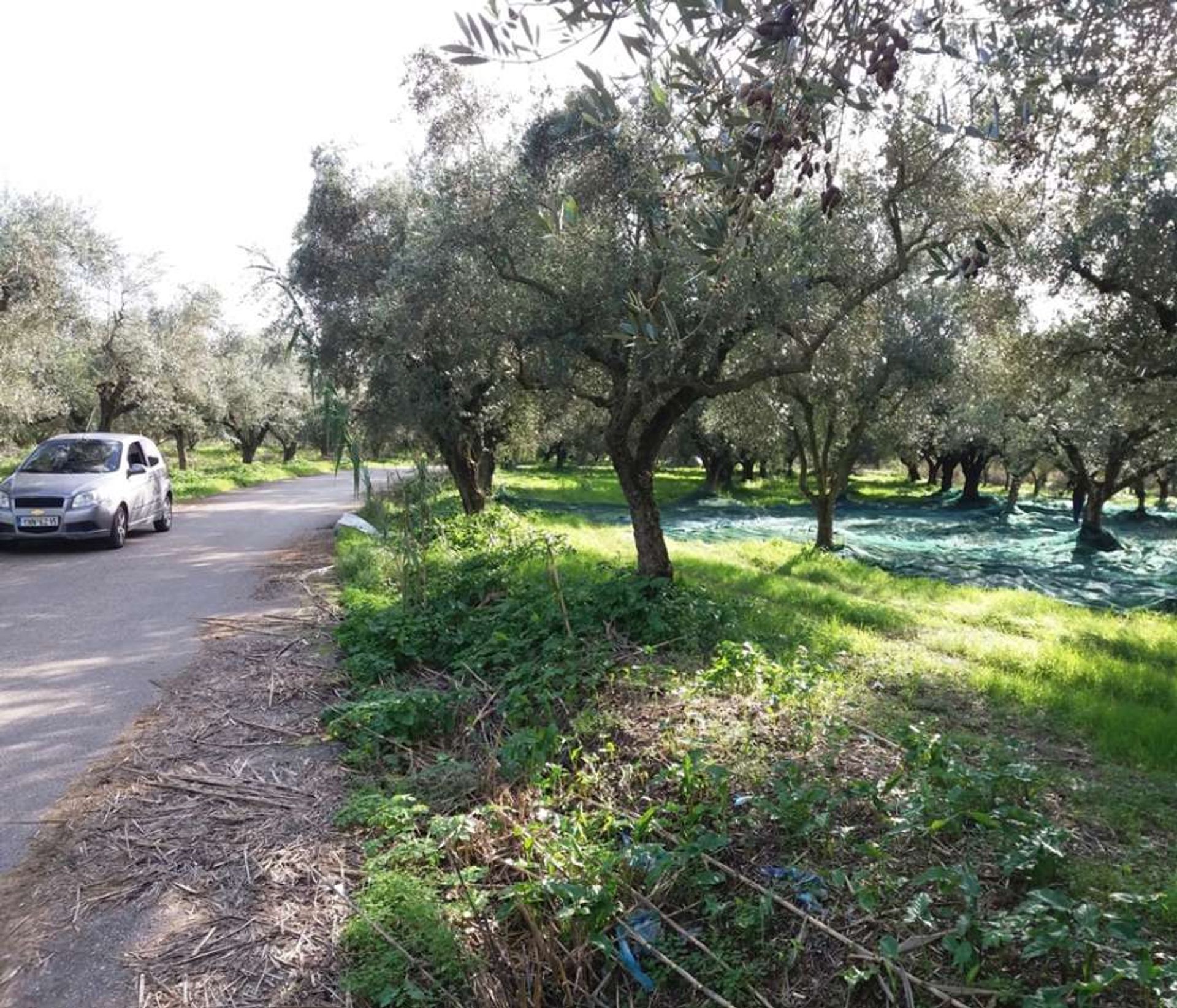 土地 在 Zakynthos, Zakinthos 10086637