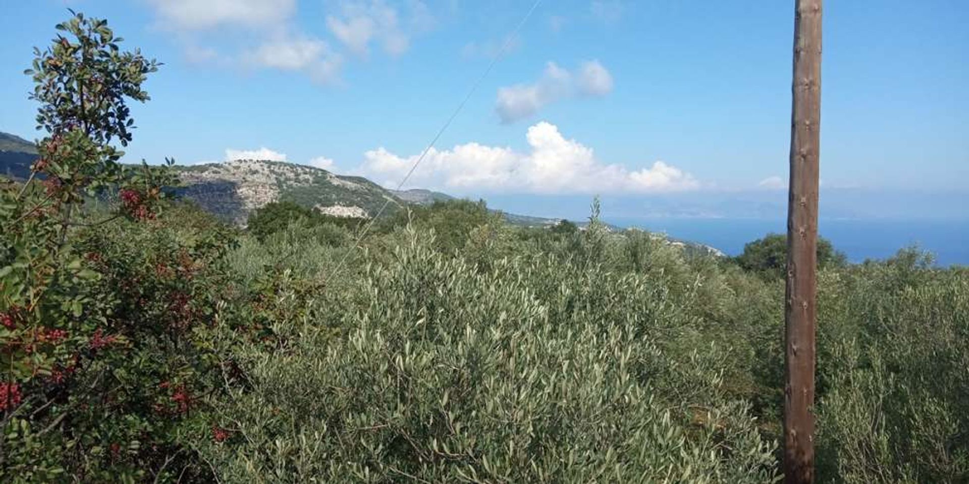 الأرض في Zakynthos, Zakinthos 10086638